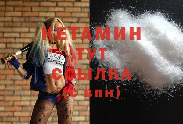 PSILOCYBIN Бородино