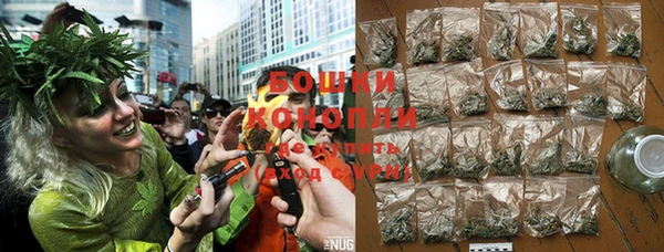 PSILOCYBIN Бородино